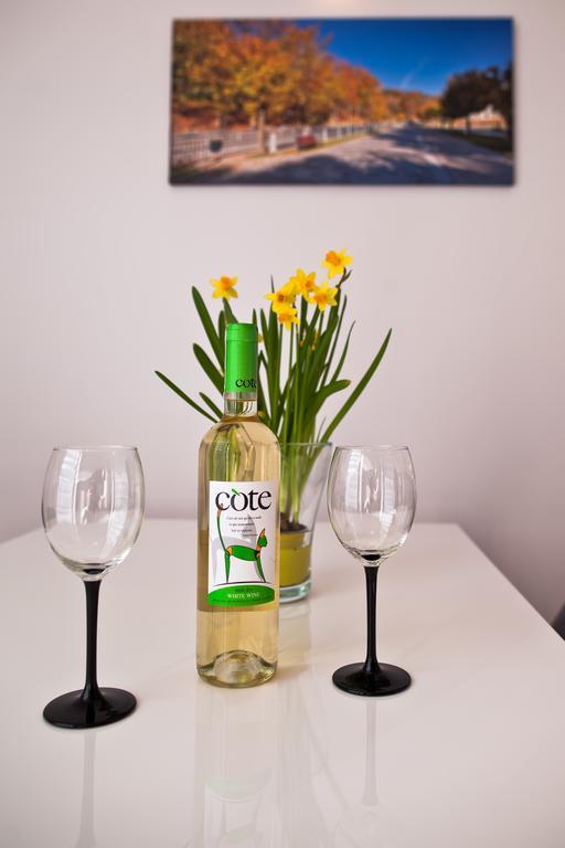Apartament City Center Platinum Krynica-Zdrój Extérieur photo